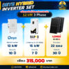 Deye hybrid inverter set [RAPD]-12kw3P batt 300ah